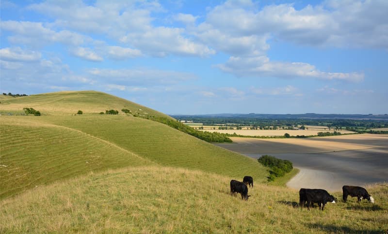 Wiltshire