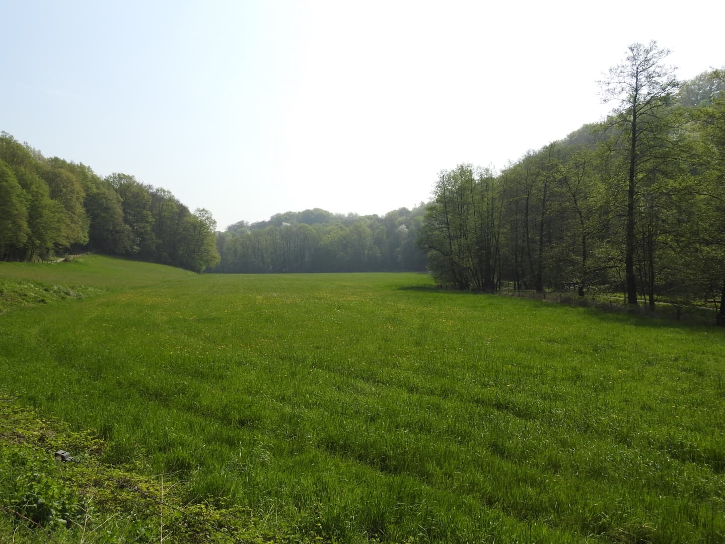 Neandertal (valley)