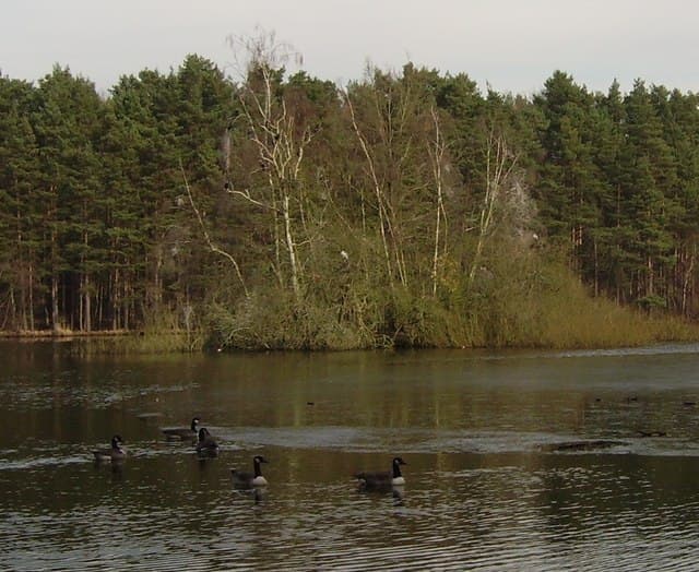 Heath Lake
