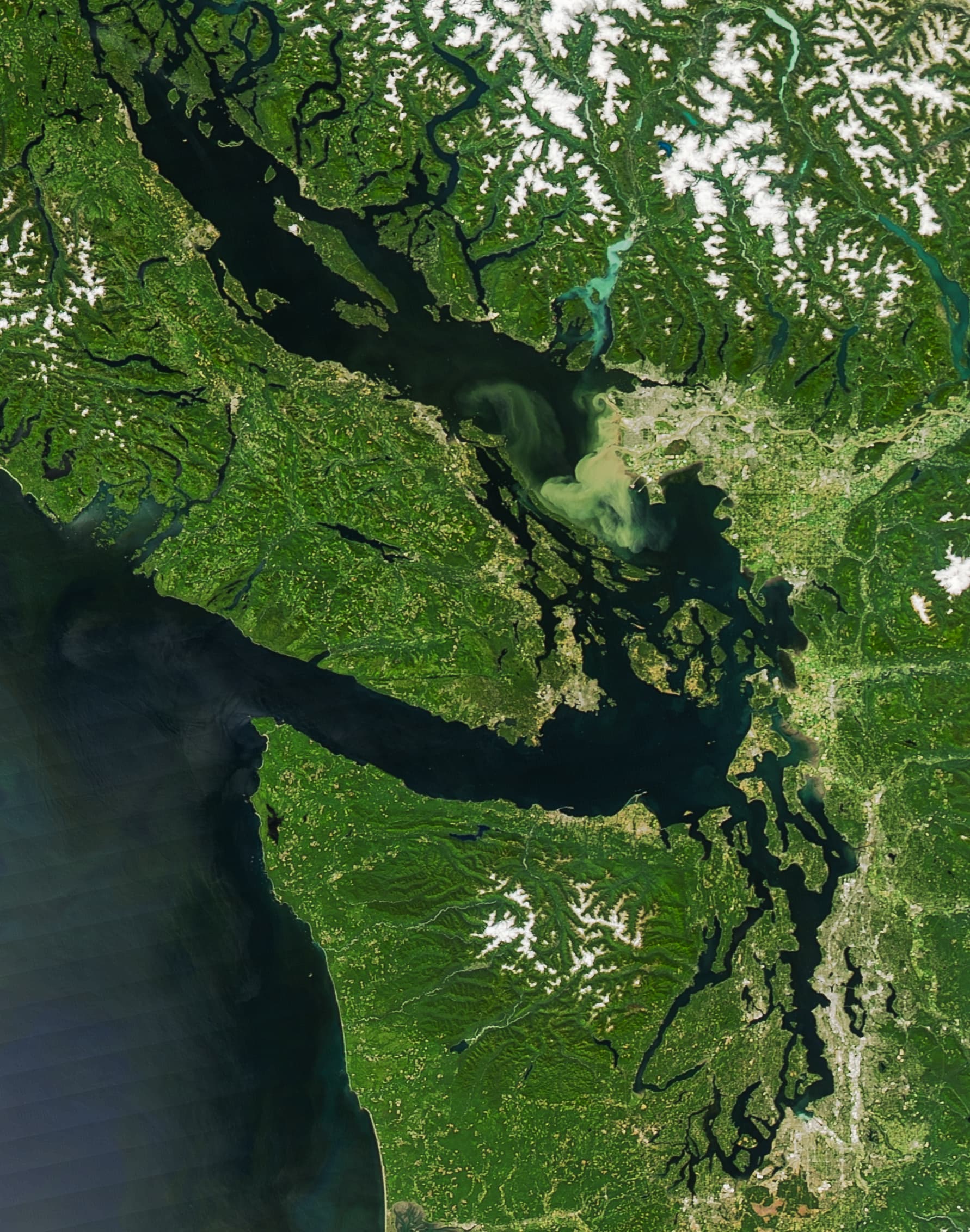 Salish Sea