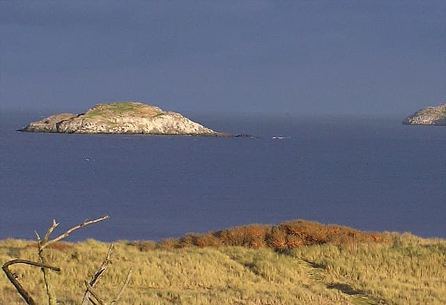 Lamb (island)