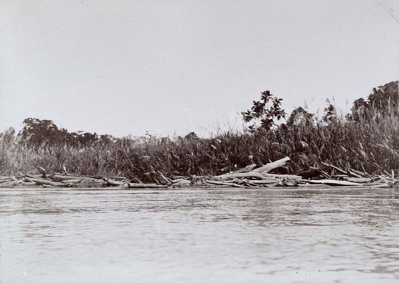 Tami River