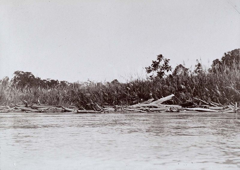 Tami River