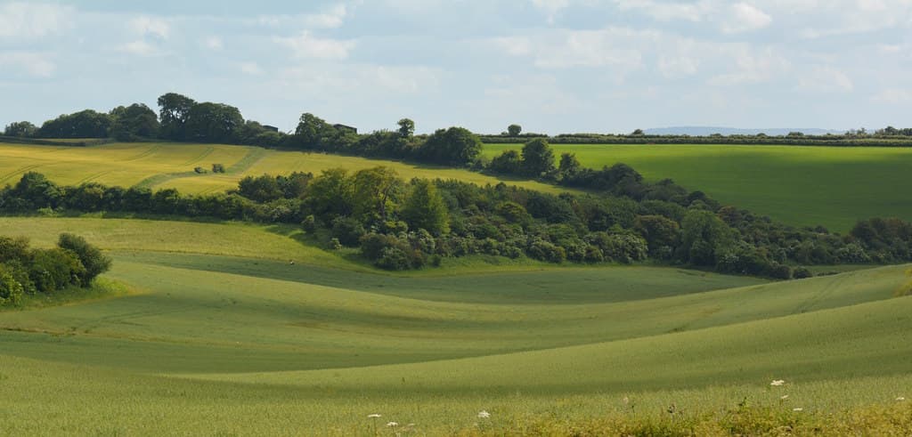 Berkshire