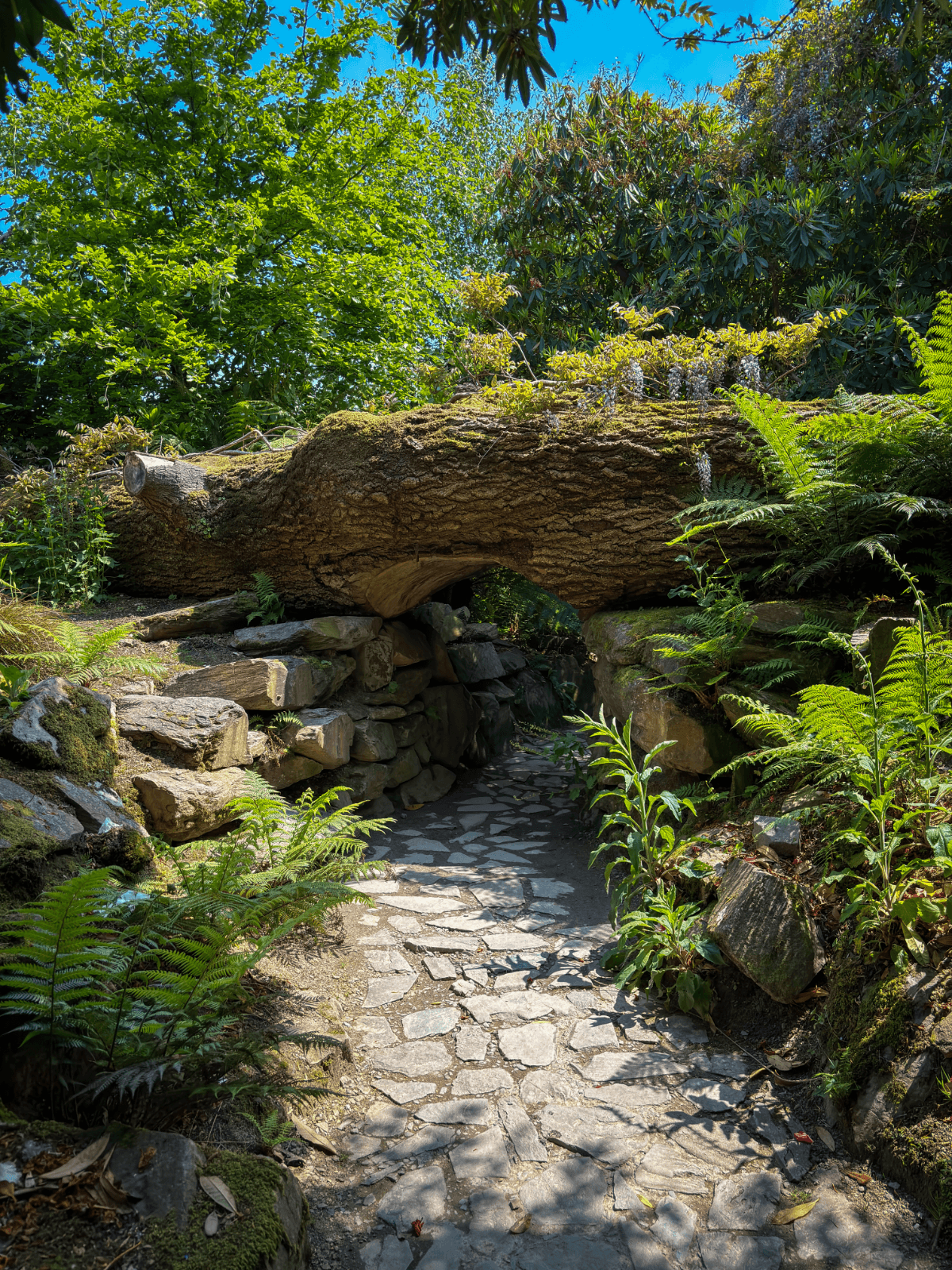 Lost Gardens of Heligan
