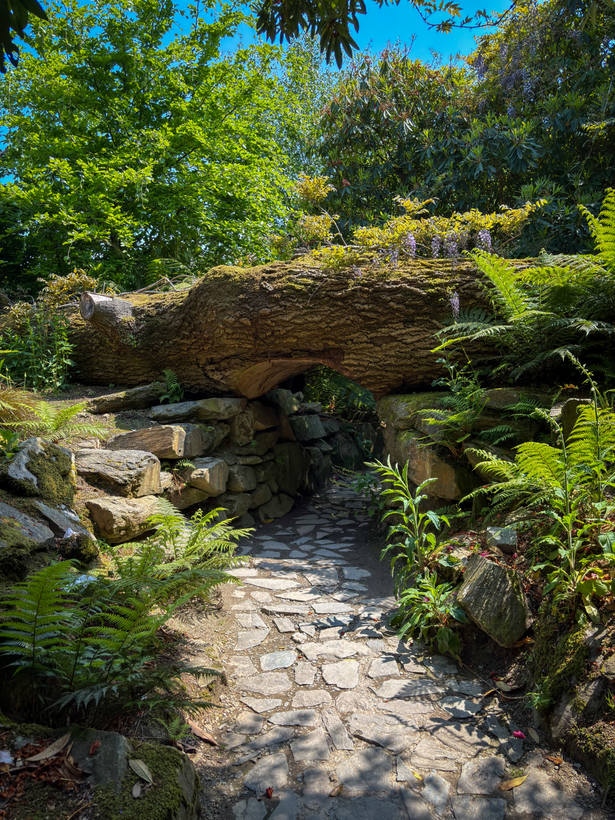 Lost Gardens of Heligan
