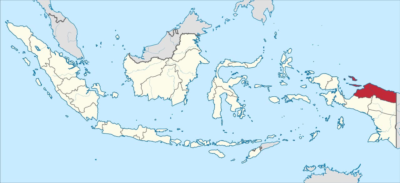 Papua (province)