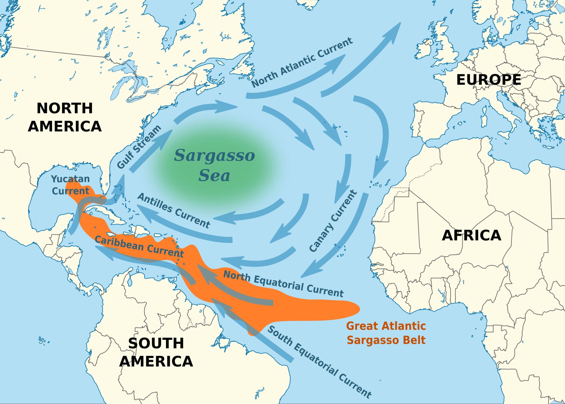 Sargasso Sea