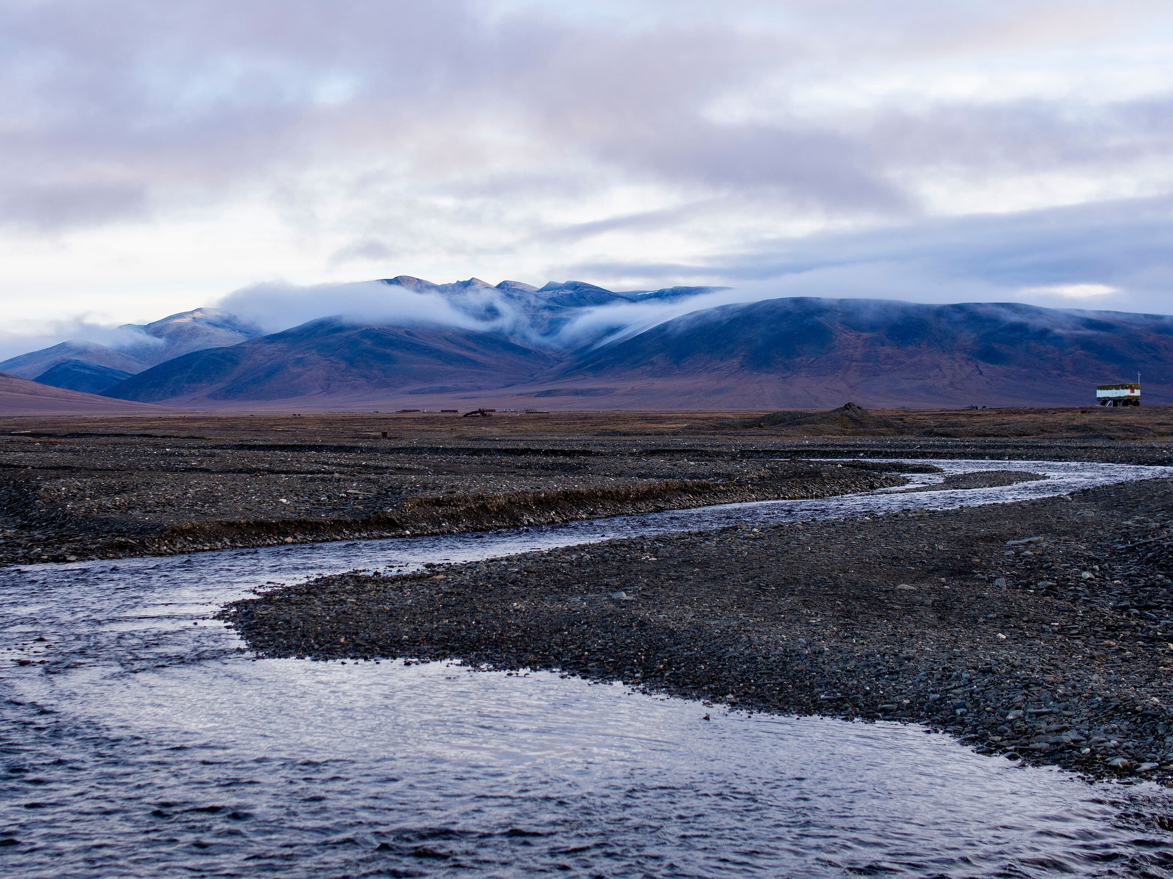 Wrangel Island