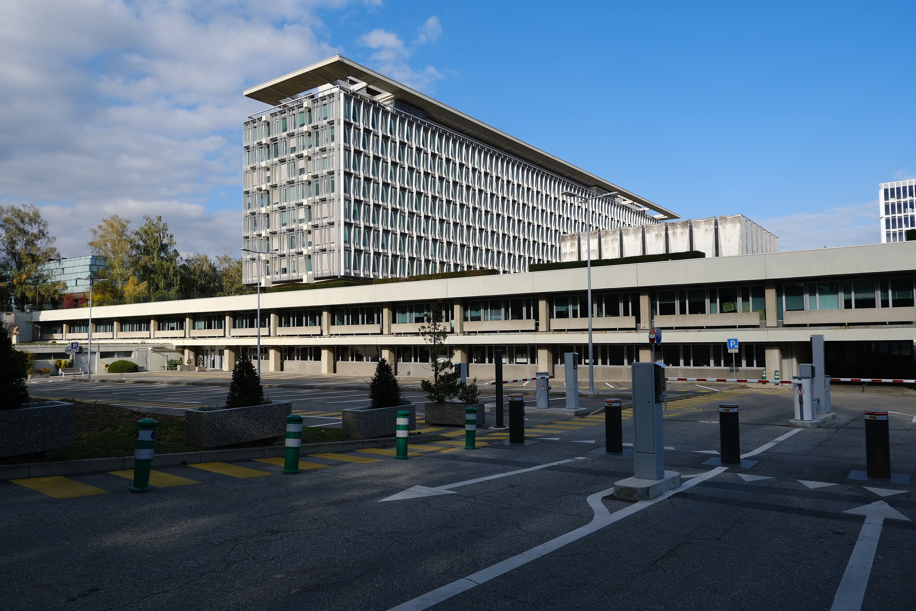 World Health Organization