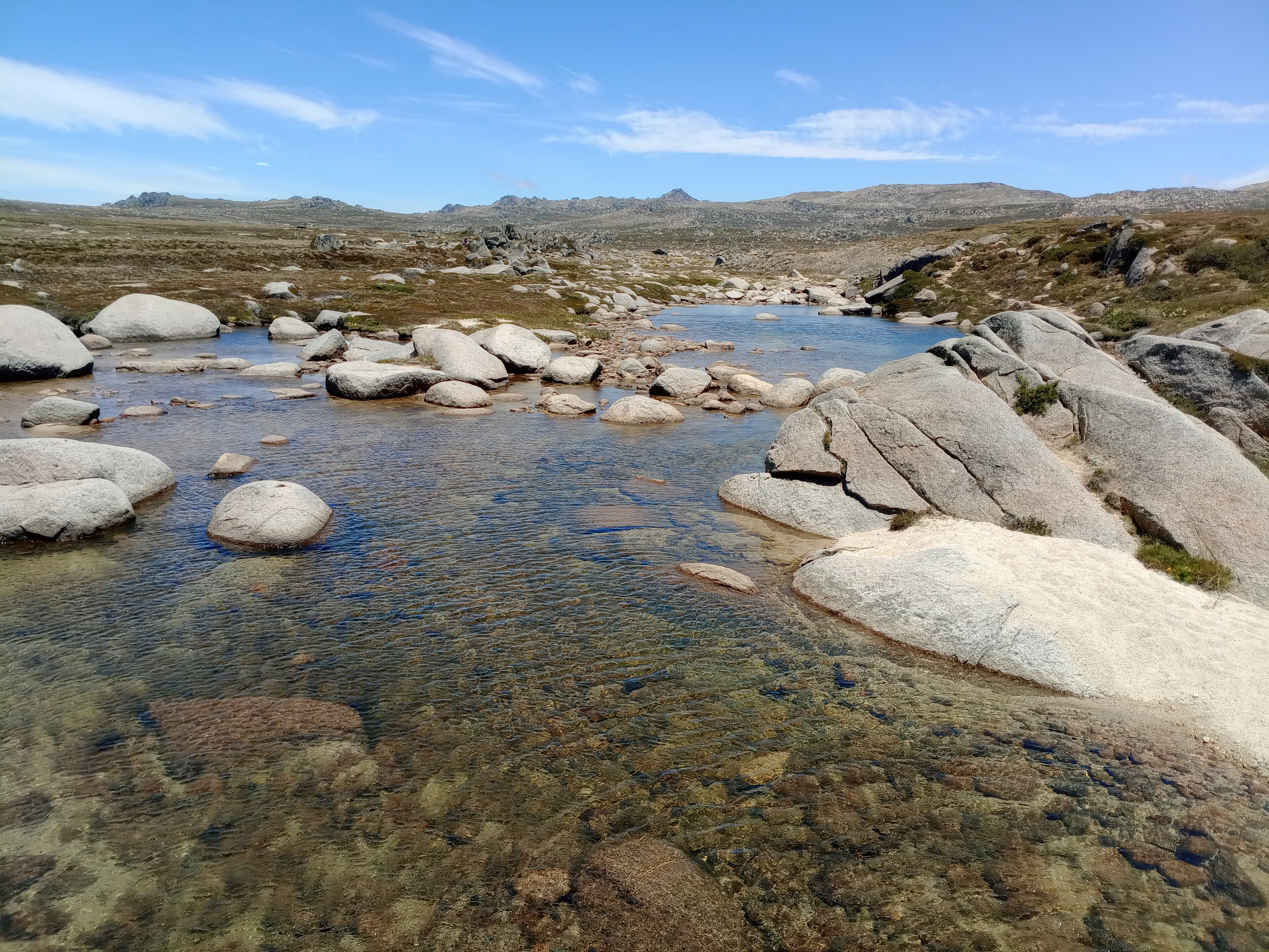 Snowy River
