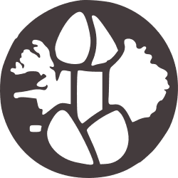 Icelandic Phallological Museum